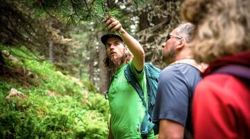 Dem Wurfbach entlang