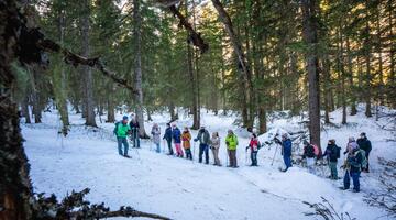 Goldene Aussichten Rauris