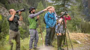 Wildtierbeobachtung entlang des Tauernhöhenweges