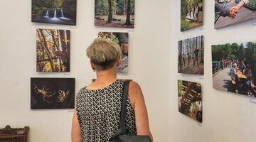 Ausstellung 'Künstler sehen den Nationalpark'
