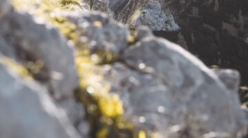 Alpin-Fotokurs auf der Hesshütte
