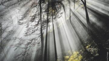 Fotokurs - Malen mit Licht: Die Magie des Herbstes