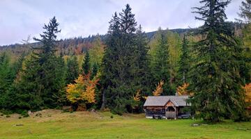Genusswandern zur Weingartalm