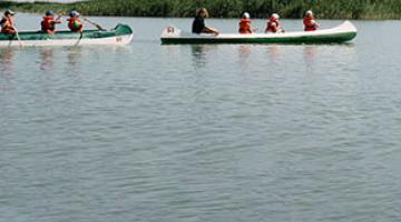 Ein Labyrinth aus Schilf: Kanutour am Neusiedler See