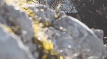 Alpin - Fotokurs auf der Hesshütte