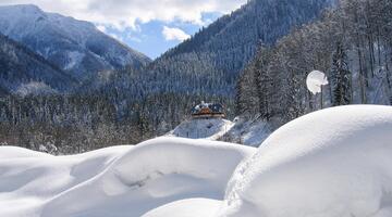 Fürsten in der Wildnis (im Winter)
