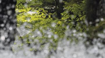 Alles fließt 07.06.-09.06.2025