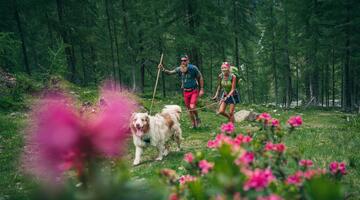 Nationalpark Wandertag: Stanziwurten