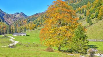 Historische Alm- und Forstwirtschaft