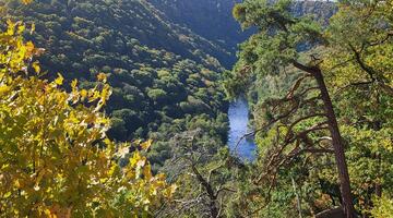 Zwischen Wildnis und alter Kulturlandschaft