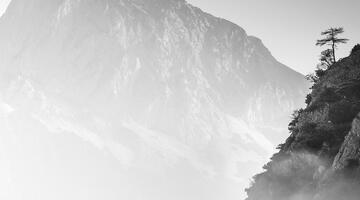 Forms of Xeis - Fotokurs HERBST 14.11.-16.11.2025