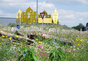 Biodiversitätsgemeinde (A9 Autobahnabfahrt Vogau-Straß)