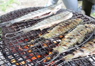 Ein Tag in der Wildnis