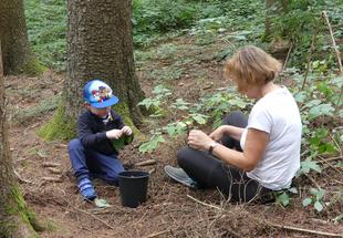 Hinaus in den Wald