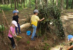 Naturpark-Sommerkindergarten im Wald