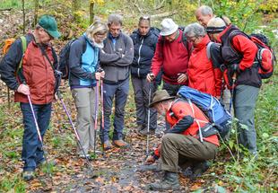 Der Ranger zeigt einer Gruppe von Besuchern die Spuren am Boden.