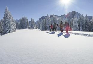 Vier Personen wandern auf ihren Schneeschuhen durch die tief verschneite Winterlandschaft, im Hintergrund der Gosaukamm.