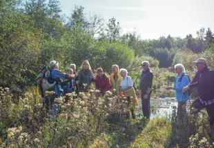 Eine Gruppe von Teilnehmerinnen betrachtet Pflanzen im Moor.