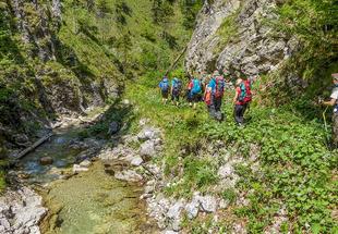 Eine Gruppe von Wanderern durchquert die Schlucht am Großen Bach im Hintergebirge.