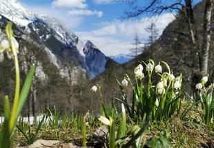 Issanger Halltal