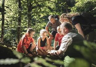 Mit dem Nationalpark Ranger die Waldwildnis im Nationalpark Kalkalpen entdecken