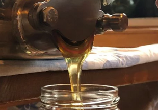 Naturparkhonig Schauschleudern