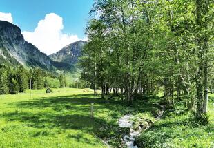 Schwemmalm Zillertal