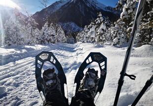 Schneeschuhwandern im Naturpark Sölktäler