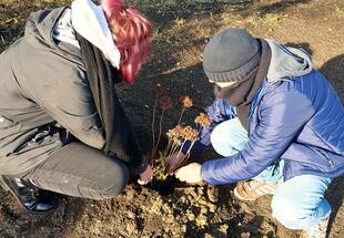 Jugendliche engagieren sich für mehr Biodiversität