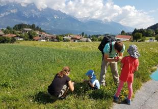 Kräuterwanderung