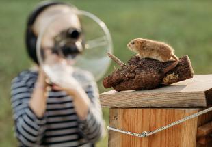 High-Tech Naturforscherin erforscht die Haselmaus