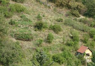 Biodiversitäts-Hotspot in Döbling