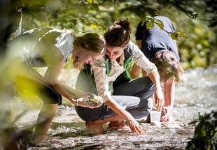 Ohne Schuhe  hocken eine Rangerin und zwei Jugendliche im Bach und suchen nach Wasserlebewesen