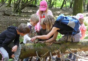 Kinder-Ferienprogramm