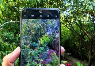 Handy im Vordergrund mit Natur im Hintergrund