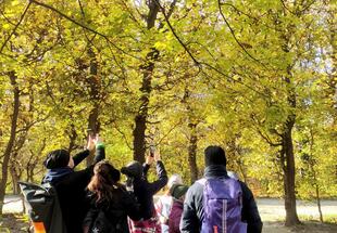 Personengruppe im Wald