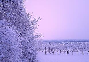 Winterlandschaft