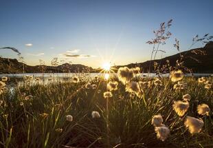 Sonnenaufgang über dem Torsee