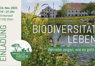 Einladungsbeschreibung. 24. November 2025 im Ankersaal, von 19-21 Uhr