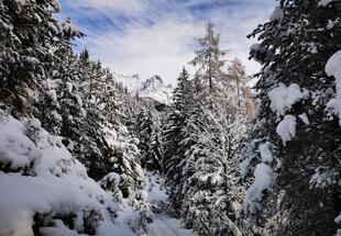 Winterbild Gnadenwald