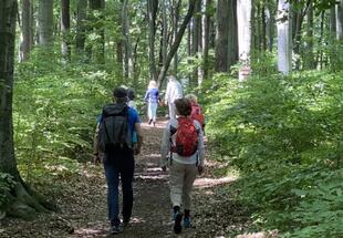 Wandern im Naturpark