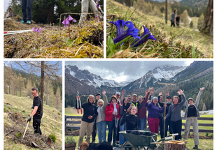 Wir unterstützen die Landwirt:innen dabei die Almen, Lärchenwiesen und Bergmähder zu erhalten und genießen die wunderschöne, artenreiche Kulturlandschaft