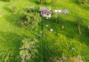 Altbestand der Streuobstwiese im Klostergarten