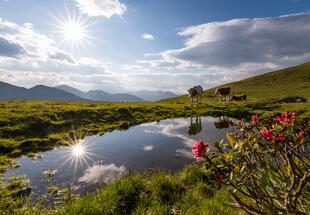 Tradition und Artenvielfalt in den Nockbergen