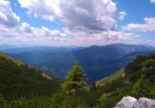 Almausblick