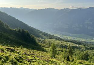 Landschaft
