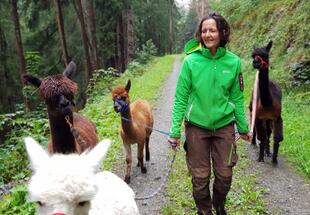T3-Besuch am Bauernhof