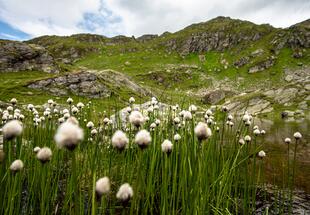 Tour 31 - Halspitz und Rastkogelsee
