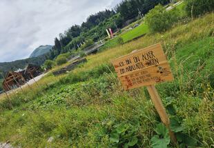 Acker Naturpark Ötscher-Tormäuer