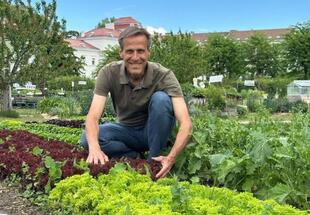 Schichtwechsel am Beet